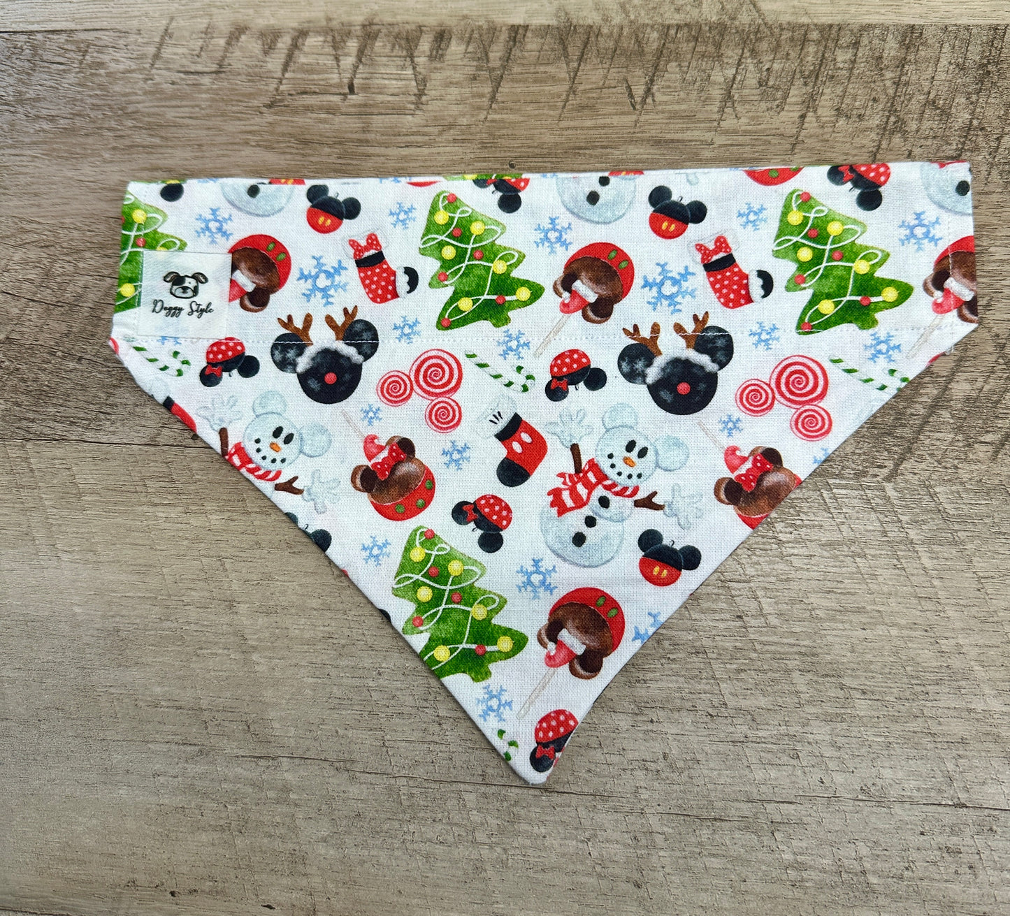 Mickey Wonderland