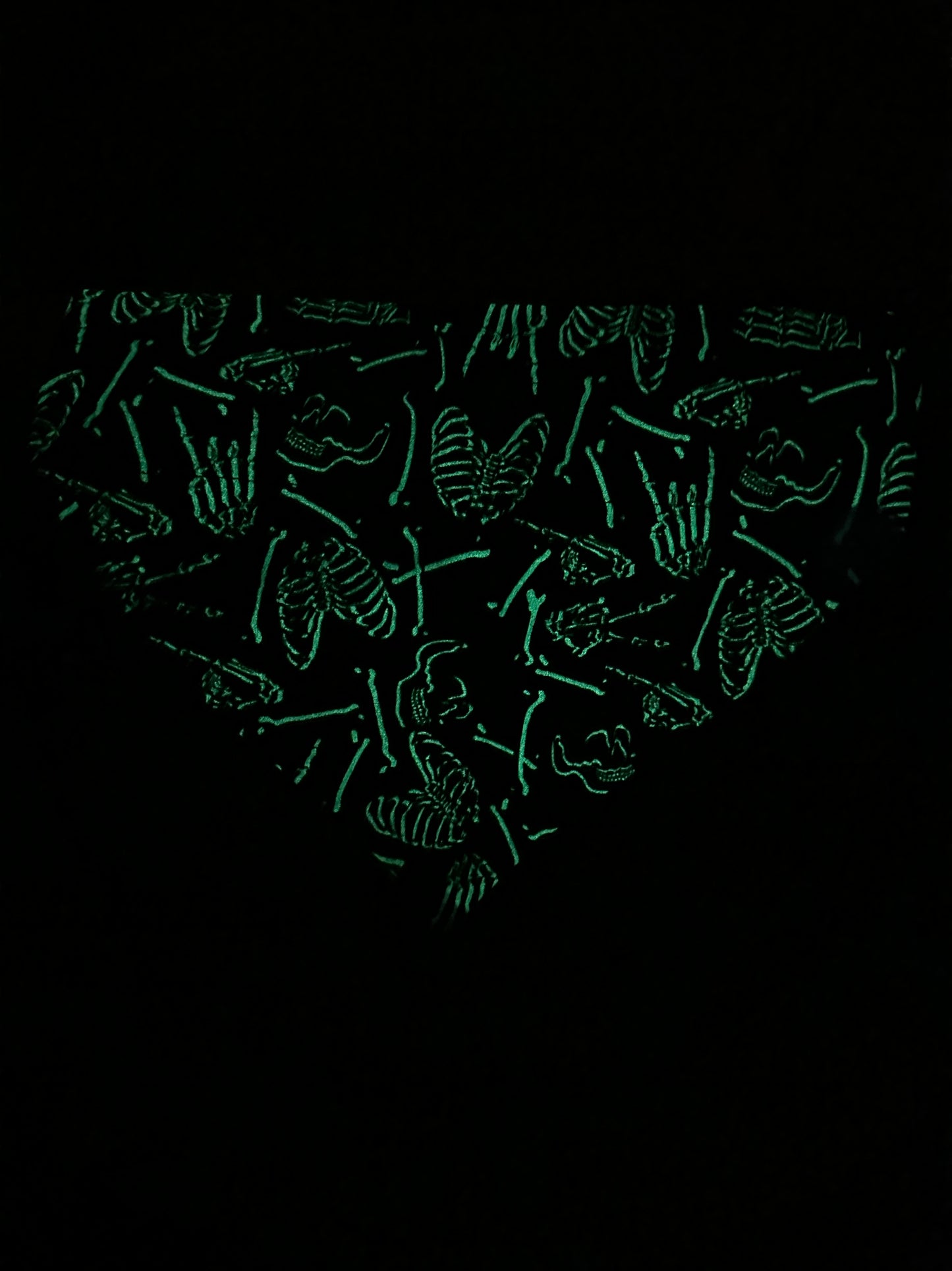 Glow in the dark Bones 🦴