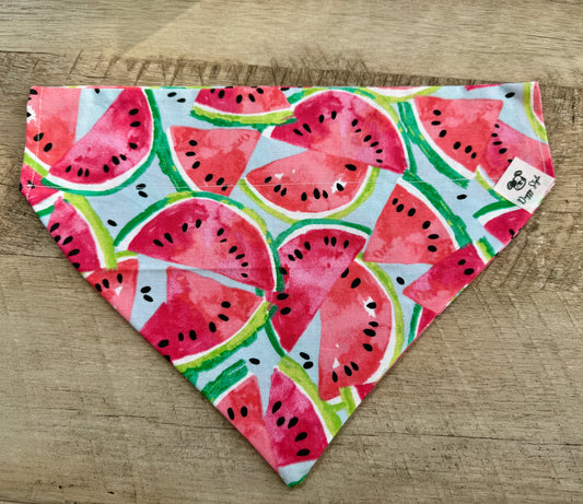 🍉 Watermelon